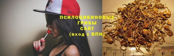 мяу мяу мука Балабаново