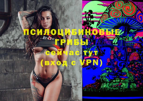 мяу мяу мука Балабаново