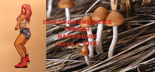 дживик Балахна