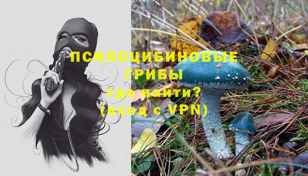 дживик Балахна