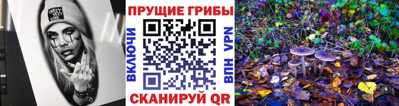 Галлюциногенные грибы мухоморы  купить  сайты  Теберда 